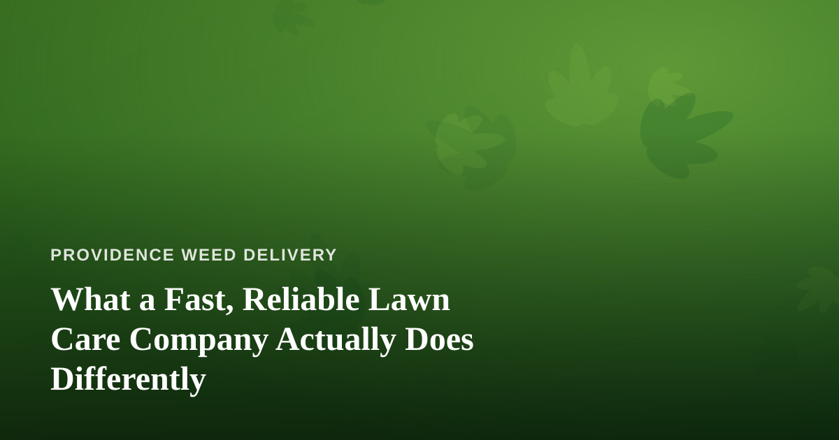 What a Fast, Reliable Lawn Care Company Actually Does Differently